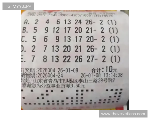 专家解读K8真人游戏的盈利模式与风险控制策略，助你理性投注